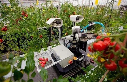 I-Smart Agriculture-1